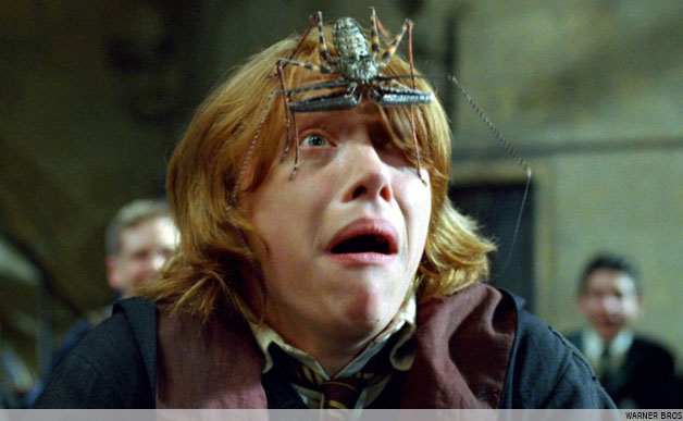 Ron Weasley Afraid of Spider