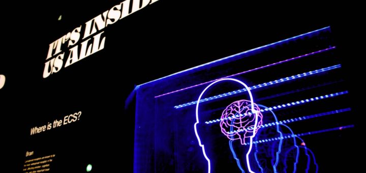 brain hacks to empower yourself - motivationmatter.com